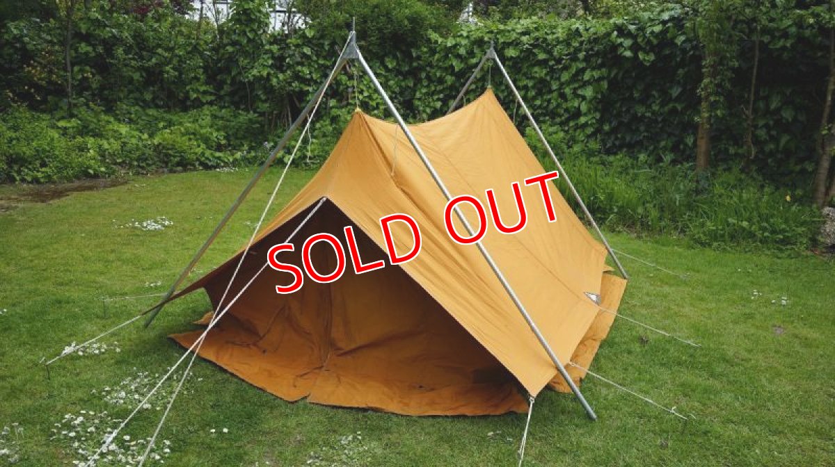 画像2: ブラックス・ギニア (2)