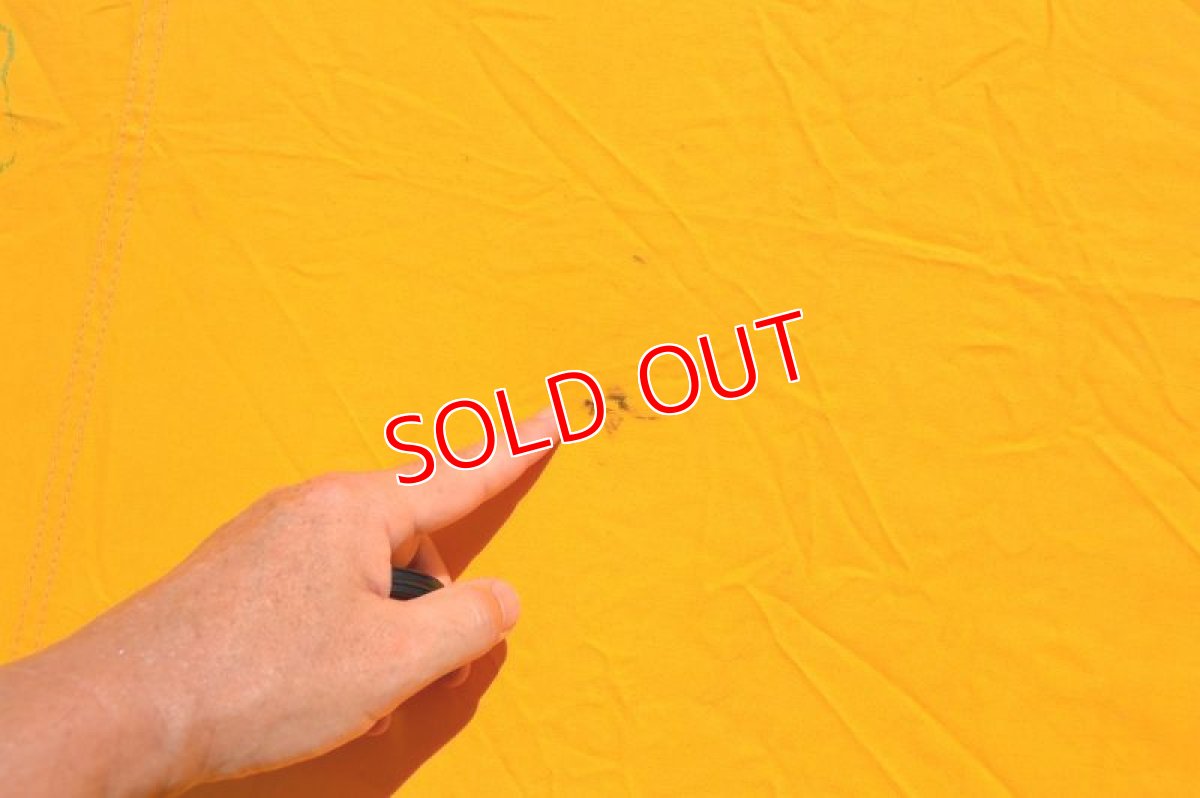 画像15: POLNAMガルバリディエゴ３ (15)