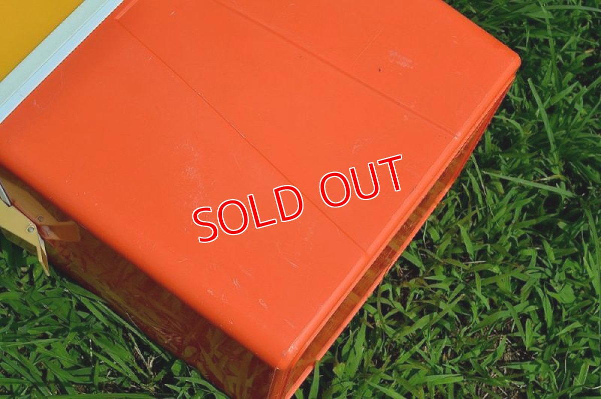 画像9: I.A.M.P スペイン製クーラーボックス (9)