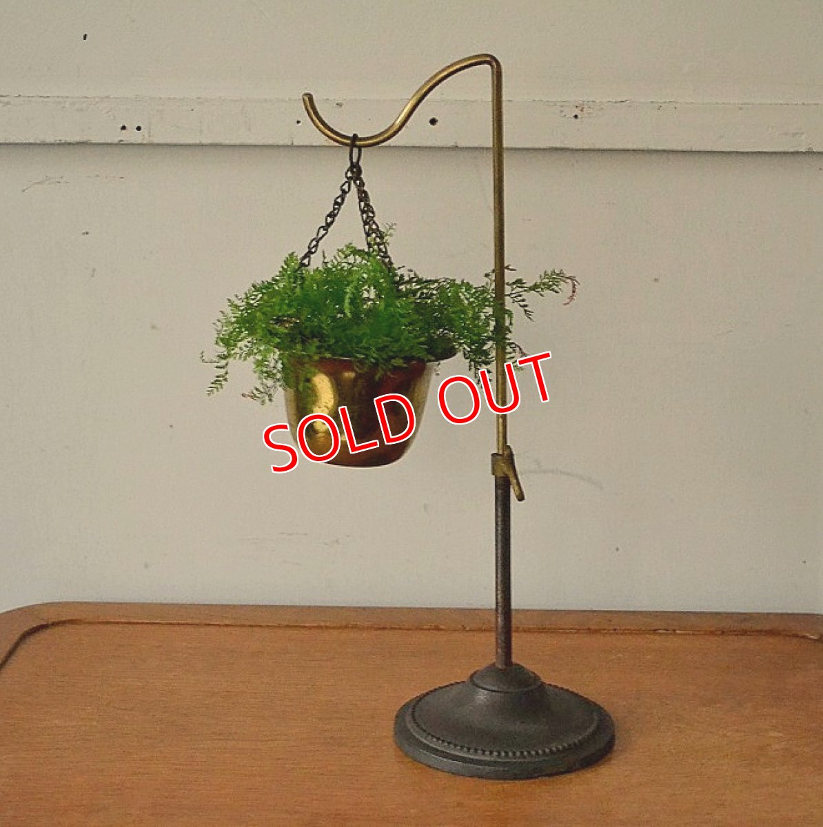 プランターは付属しません。